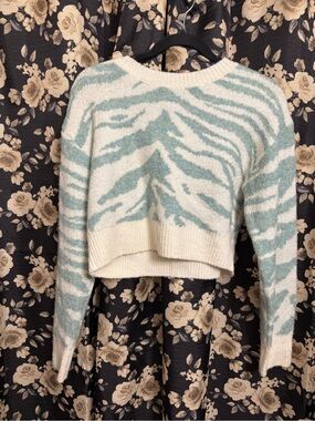 Cozy Crewneck Zebra-Stripe Cropped Sweater - Ivory & Mint